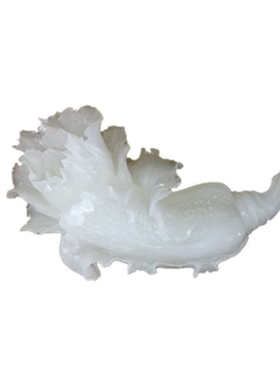 阿富汗玉白菜摆件 白玉白菜乔迁新居开店送礼开业礼品