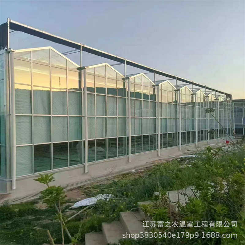 厂家销售蔬菜玻璃温室大棚 观光温室大棚 连栋玻璃温室大棚安装,淘宝优惠券,粉丝福利购,淘宝优惠卷