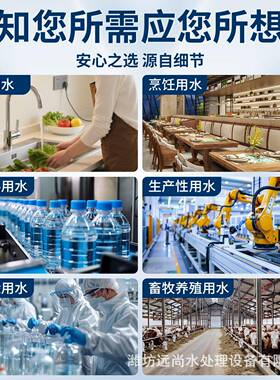 工业RO反渗透净水设备井水除杂质去水垢全自动大流量商用直饮水机