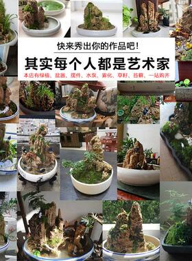 吸水石假山石盆景摆件造景上水石假山盆景原石奇石观光石微景观