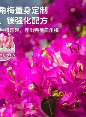 三角梅肥料专用肥植物营养液梅花盆栽家用花卉养花促开花腊梅通用