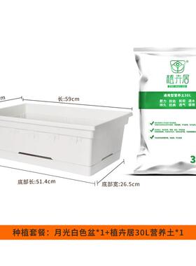 种菜箱花箱种植箱户外树脂长方形盆景花盆家用阳台种菜盆