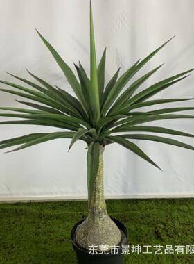 仿真剑麻仿真绿植剑麻盆栽工厂各种假绿植盆景仿真剑兰树装饰