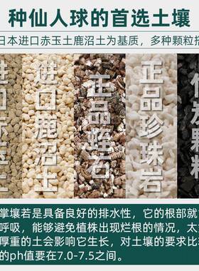 仙人球专用颗粒土仙人掌仙人柱专用肥料土营养种植土赤玉土鹿沼土