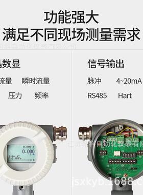 生产DN25DN50DN80DN100空气流量计蒸汽流量计涡街流量计