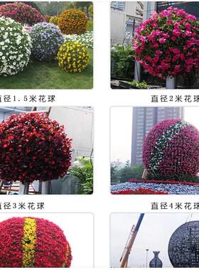 园艺花球花柱园林绿化立体景观花坛 广场景观草球户外花架花球花