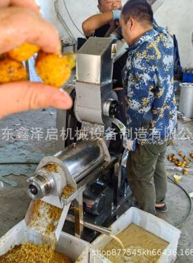 大蒜洋葱生姜芹菜螺旋榨汁机柠檬橙子苹果大型压榨机破碎榨汁机