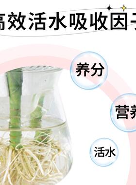 鲜切花鲜花保鲜剂玫瑰花百合花鲜花延长花期营养液家用花店大瓶装