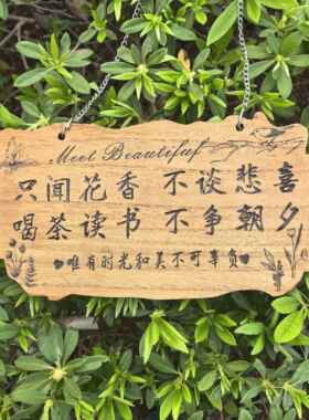 创意实木挂牌庭院花园木质铭牌小院阳台木制装饰门牌民宿木牌定制