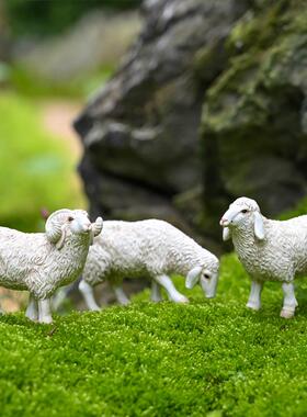 仿真绵羊微景观桌面动物小羊模型摆件盆景饰品树脂工艺品装饰摆设
