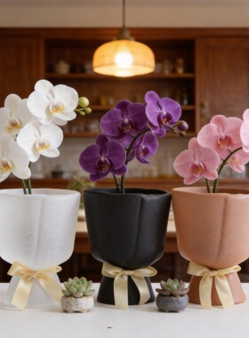 亚马逊热销花瓶花瓶简约水培花瓶