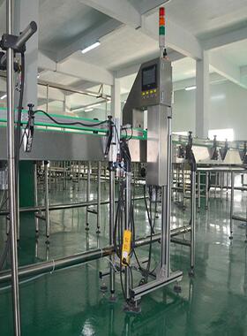 棘汁生产设备无菌线袋包装463沙棘浆加工机器成套饮料沙设原备定