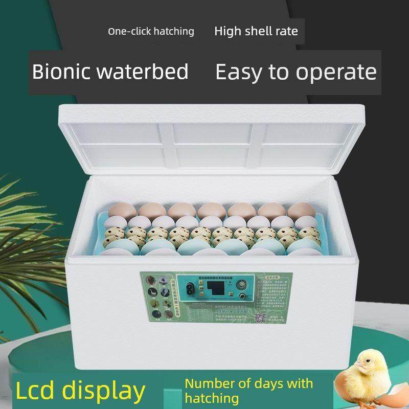 鸡鸭鹅孵化器水床家用孵蛋器全自动控温小型孵化芦丁鸡鸟类孵化机,淘宝优惠券,粉丝福利购,淘宝优惠卷