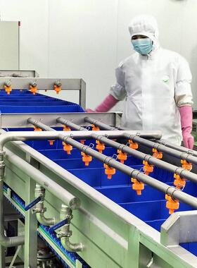 大型净菜加工中央厨房机械根茎、叶菜类、鲜切菜二合一清洗流水线
