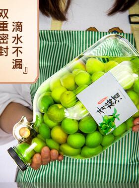 9V7T酿青梅酒罐10斤装泡酒瓶玻璃专用密封无铅加厚家用杨梅酒瓶空