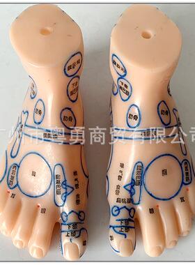刻字清晰足部脚部足底经络穴位反射区按摩推拿模型脚底器点穴工具
