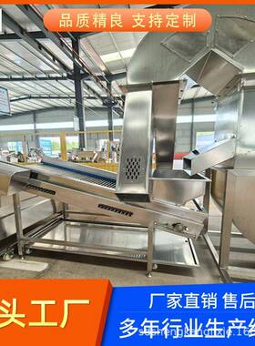 商用杏干葡萄干清洗流水线 果蔬清洗流水线 中央厨房叶菜清洗设备