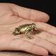 Antique copperware antique miscellaneous collection antique brass brass mini frog pocket small ornaments old goods old objects