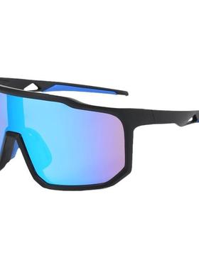 太阳镜复古黑色骑行防风太阳眼镜