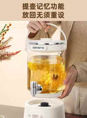 德国2025新款养生壶家用炖煮一体5升大容量带水龙头煮茶壶多功能A