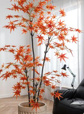 掬涵彷真绿色植物假红枫树盆栽植物造景枫叶装饰花卉大型客厅室内