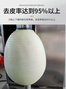 针插式果蔬削皮机不锈钢全自动瓜果脱皮机头刨皮机冬瓜去皮机