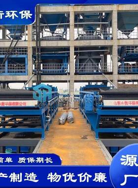 水衡环保生产厂家制造碳素厂石膏废水脱水机 型号全质量