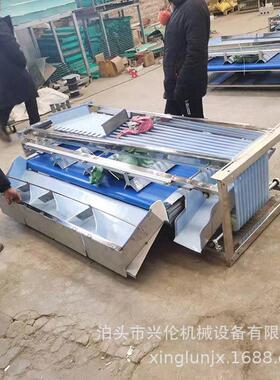 商用皮带式水果分选机 蜜橘分级机 柑橘选果机 不伤果油桃分果机
