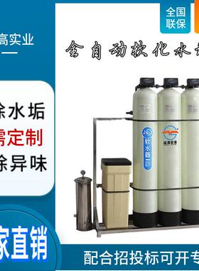 远小型锅炉循环水除垢工业净水器商用水质软化全自动一体化设备