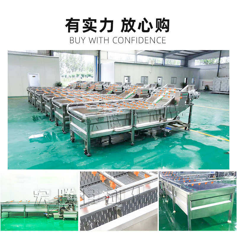 商用红枣气泡清洗机 大型翻浪式红枣清洗机 红枣清洗流水线批发,淘宝优惠券,粉丝福利购,淘宝优惠卷