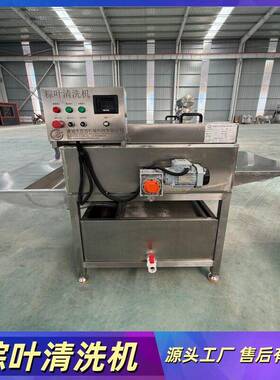 全自动粽叶清洗机芦苇叶粽子加工设备荷叶小型平行毛辊清洗机