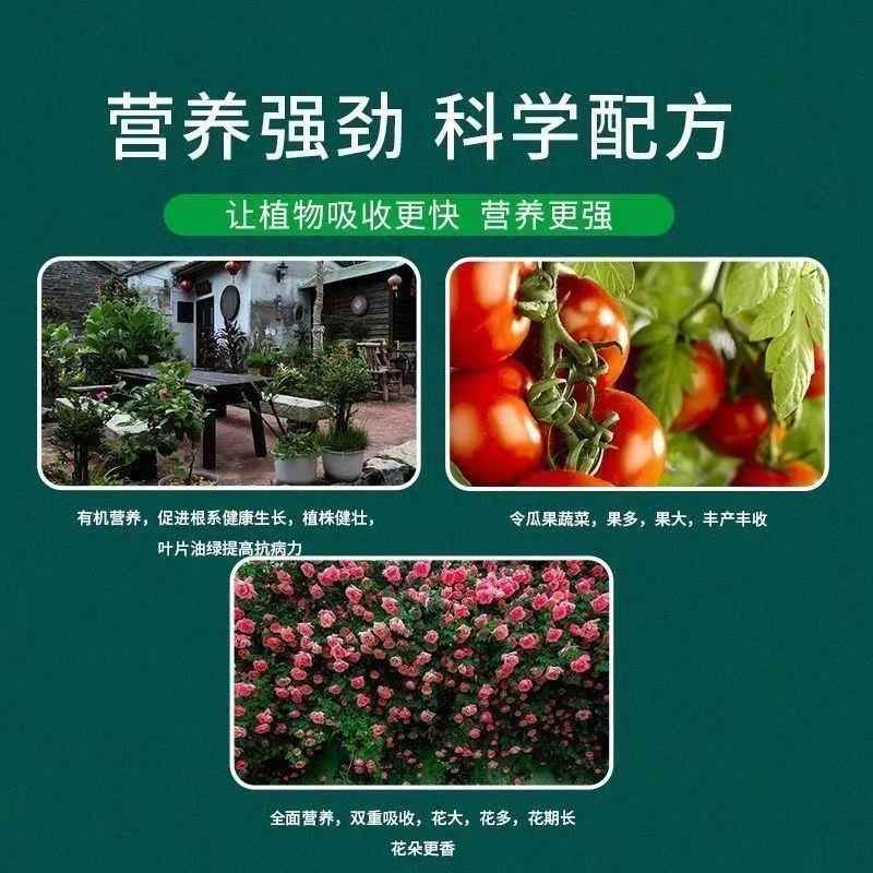 通用型植物营养液浓缩液体土培水培效吸收室内黄叶生长水溶 - 图1