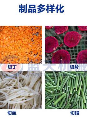 小型多功能切菜机器 不锈钢餐馆学校食堂果蔬切片切丝切丁一体机