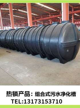 塑料生物净化槽 分散式污水处理设备 农村户用污水处理器 PE地埋
