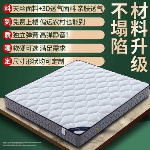 席梦思床垫软硬两用20厚1.8米1.5家用双人经济型椰棕弹簧床垫 - 图1
