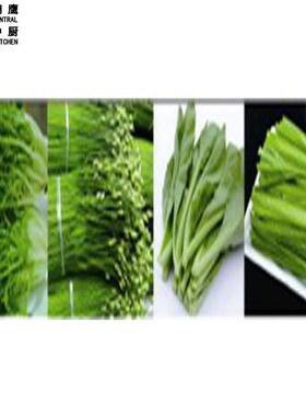 双杠洗菜机 水槽清洗机 学校食堂使用 果蔬清洗机 中央厨房设备
