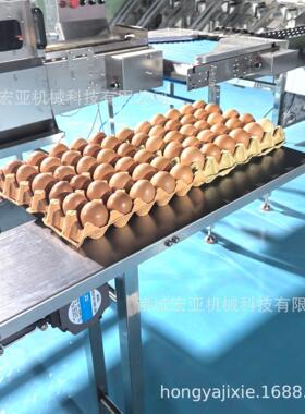 鸭蛋重量分级机生产线蛋品清洗杀菌烘干光检一体机鸡蛋分选设备