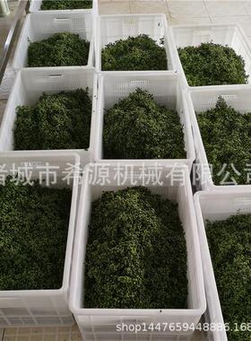 麻老五保鲜花椒杀青机 麻椒漂烫清洗流水线 全自动漂烫设备厂家