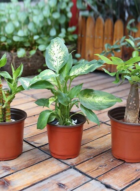 软塑料厂家厂家直销双色花盆花瓶