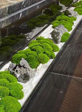 仿真绿植造景观氛围苔藓仿生植物装饰组合室内布置玄关楼梯下橱窗