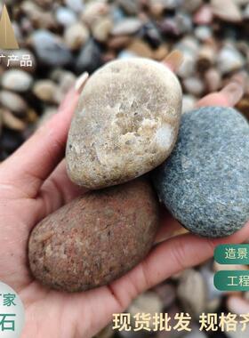 河卵石10-20公分鹅卵石料园造景24010工然程滤铺路用河滩石天鹅卵
