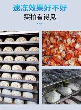 速冻柜零下45度包子油条海鲜水饺冷冻冰箱冷藏柜商用立式急冻锁鲜