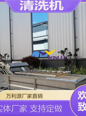 工业冲浪式清洗机 果蔬清洗风干流水线 海产品解冻去泥沙清洗机器
