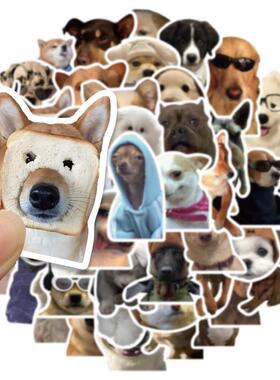 50/100pcs Cute Dog Cat MEME Funny Animals Stickers Aesthetic