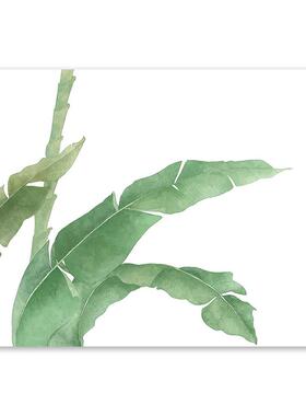 新款直销新款水彩小清新绿色植物叶子相框画芯定制北欧客厅装饰布