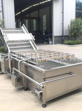 304不锈钢果蔬净菜加工设备 辣椒白菜红枣全自动鼓泡清洗流水线