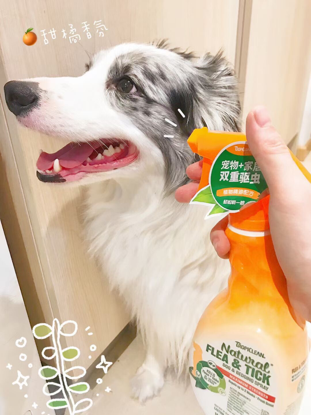 草地书籍 新人首单立减十元 22年5月 淘宝海外 草地书籍 新人首单立减十元 22年5月 淘宝海外