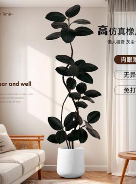 彷真绿色植物黑金刚室内高级落地植物盆栽高端轻奢彷生橡皮树装饰