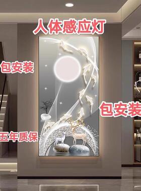 九鱼玄关LED灯人体感应星空麋鹿装饰画高端挂画现代走廊过道灯画