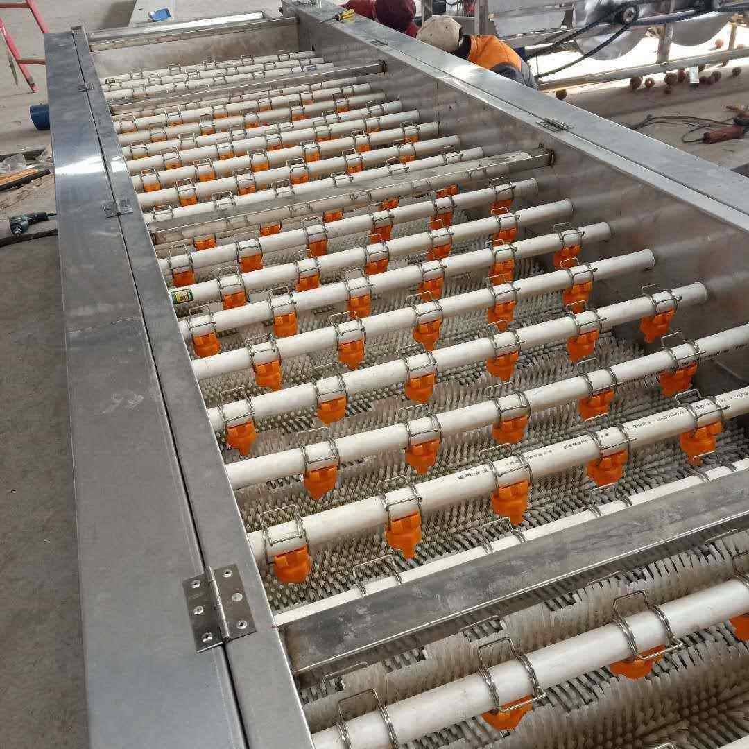 扇贝海蛎子清洗机 大型牡蛎清洗设备 不锈钢毛刷生蚝清洗机,淘宝优惠券,粉丝福利购,淘宝优惠卷